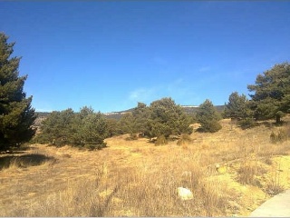 FUEN DE LA REINA 4