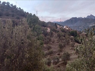 Pisos banco Nerja