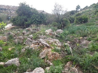 PAI PENYA ROJA 3
