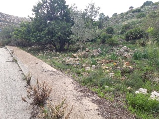 PAI PENYA ROJA 5