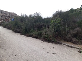PAI PENYA ROJA 6