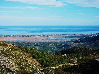 PAI PENYA ROJA 7