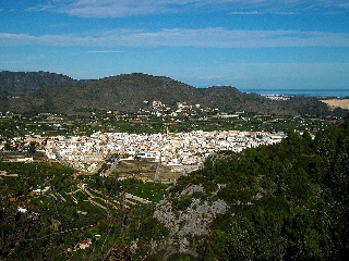 PAI PENYA ROJA 8