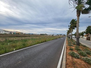 GANDIA 11