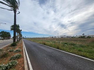 GANDIA 16
