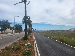 GANDIA 18