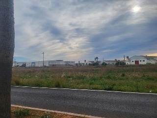GANDIA 19