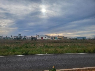 GANDIA 21