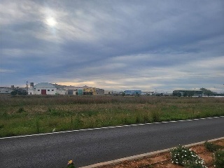 GANDIA 22