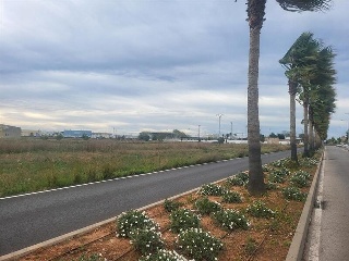 GANDIA 24