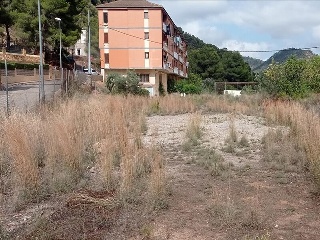 POL-35 PARCELA 416 2