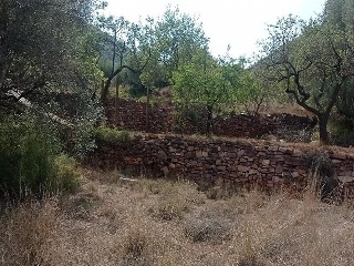 POL-35 PARCELA 367. Serra (Valencia) 2