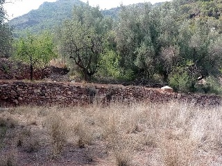 POL-35 PARCELA 367. Serra (Valencia) 3