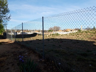 LA CELADILLA 7