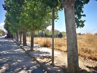 Otros en venta en Utiel