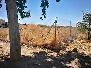 LA CELADILLA 3