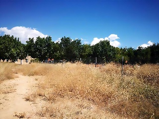 LA CELADILLA 5