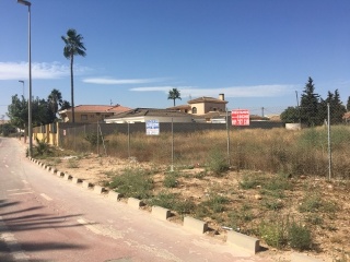 ALCAZARES 2