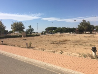 ALCAZARES 3