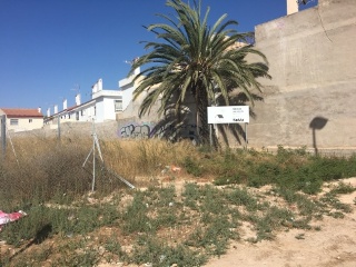ALCAZARES 4