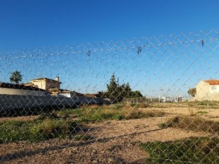 ALCAZARES 5
