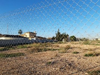 ALCAZARES 6
