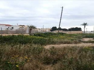 ALCAZARES 7
