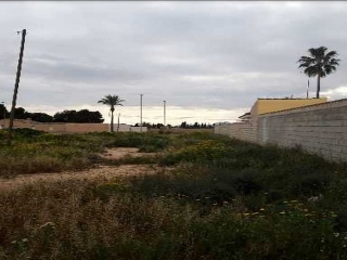 ALCAZARES 8