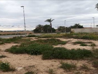 ALCAZARES 9