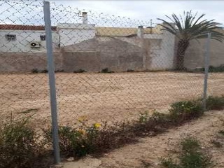 ALCAZARES 10