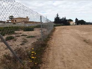 ALCAZARES 11