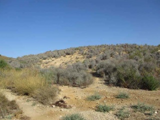 SITIO BALDEMINAS, LA MATANZA POL 17 PARC 58 4