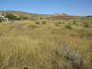 SITIO BALDEMINAS, LA MATANZA POL 17 PARC 58 5