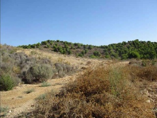 SITIO BALDEMINAS, LA MATANZA POL 17 PARC 58 6