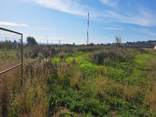 1, PARTIDA GARROFERA (LA RIBERA ALTA), PARCELA 3