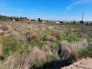 1, PARTIDA GARROFERA (LA RIBERA ALTA), PARCELA 6