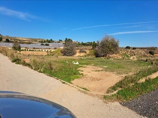 1, PARTIDA GARROFERA (LA RIBERA ALTA), PARCELA 8
