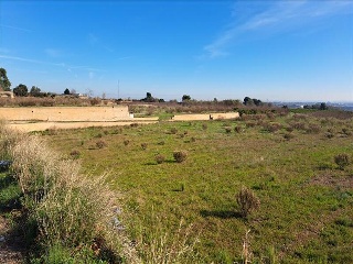 1, PARTIDA GARROFERA (LA RIBERA ALTA), PARCELA 11