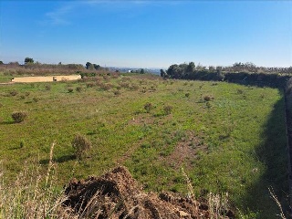1, PARTIDA GARROFERA (LA RIBERA ALTA), PARCELA 12