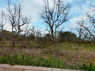 1, PARTIDA GARROFERA (LA RIBERA ALTA), PARCELA 13