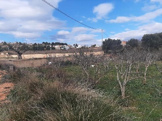1, PARTIDA GARROFERA (LA RIBERA ALTA), PARCELA 14