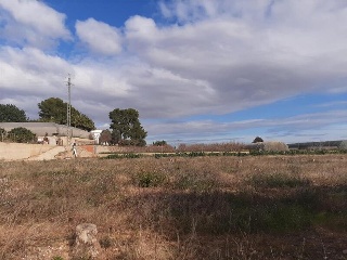 1, PARTIDA GARROFERA (LA RIBERA ALTA), PARCELA 17