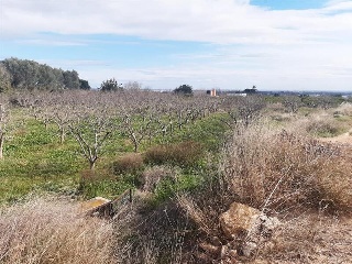 1, PARTIDA GARROFERA (LA RIBERA ALTA), PARCELA 18