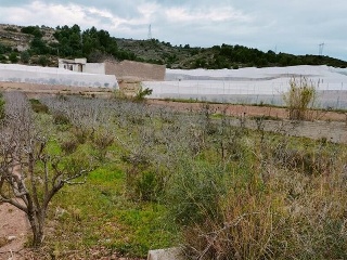 1, PARTIDA GARROFERA (LA RIBERA ALTA), PARCELA 19