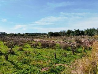 1, PARTIDA GARROFERA (LA RIBERA ALTA), PARCELA 22