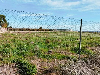 1, PARTIDA GARROFERA (LA RIBERA ALTA), PARCELA 25