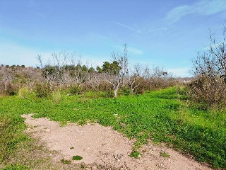 1, PARTIDA GARROFERA (LA RIBERA ALTA), PARCELA 27