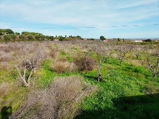 1, PARTIDA GARROFERA (LA RIBERA ALTA), PARCELA 28