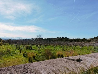 1, PARTIDA GARROFERA (LA RIBERA ALTA), PARCELA 30