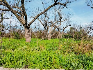 1, PARTIDA GARROFERA (LA RIBERA ALTA), PARCELA 32